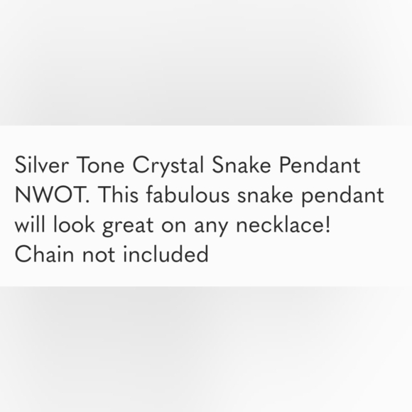 Silver Tone Crystal Snake Pendant NWOT - Picture 8 of 8